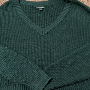 Wild fable cropped green sweater